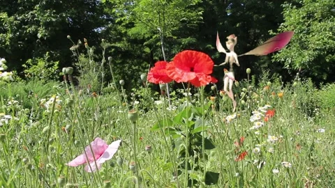 Fairy over flowers 스톡 동영상 134373927