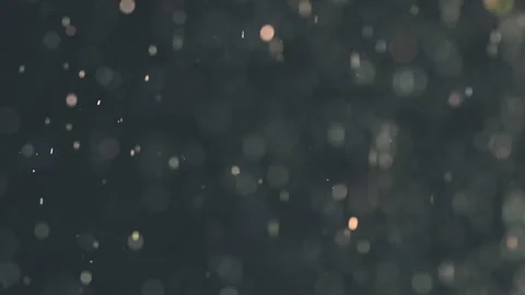 The fairy particles falling on the black... | Stock Video | Pond5