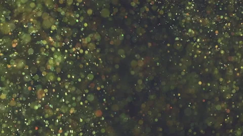 The fairy particles falling on the black... | Stock Video | Pond5