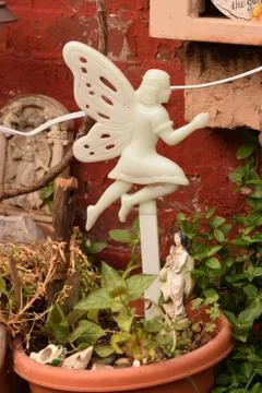 Fairy in a Potted Plan t Stock Photos