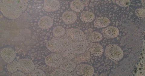 Fairy Rings in the Easter Oregon Landscape John Day Painted Hills Area Stock Footage 128305457