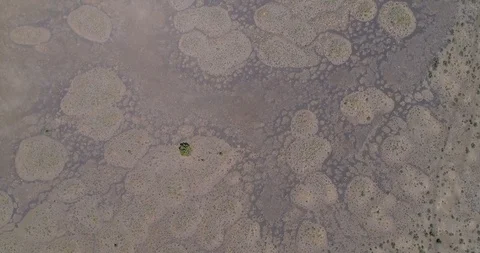 Fairy Rings in the Easter Oregon Landscape John Day Painted Hills Area with Road Stock Footage 128305795