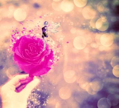 Fairy with Roses Illustrazione stock