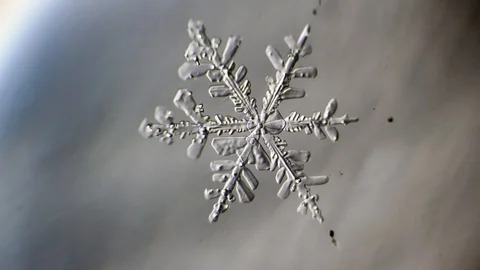 Fairy snowflake grows Stock Footage 91398963