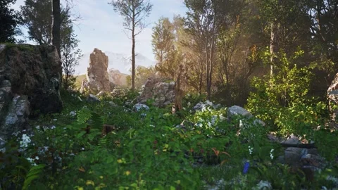 Fairy tale forest Stock Footage 321598179