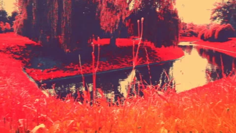 Fairy-tale nature background for text. Animated nature effect in pink tones for Video stock 129154834