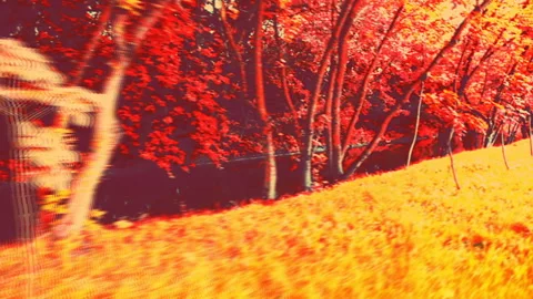 Fairy-tale nature background for text. Animated nature effect in pink tones for 스톡 동영상 129162073