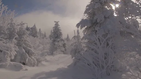 Fairy Tale Winter 動画素材 114326745