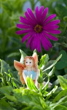 Fairy on vegetation Stock Photos