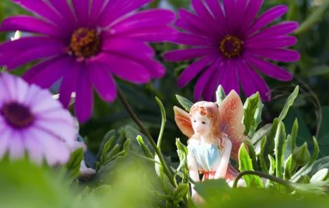 Fairy on vegetation Stock Photos