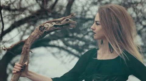 Fairy wicked witch. Magic Stock Footage 48088716