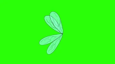 Fairy wings flapping on green screen side view Stock Footage 273098651