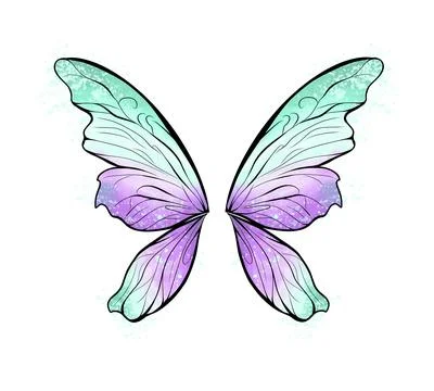 Fairy wings Stock Illustration
