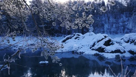 Fairy winter forest at dawn panoramic shot Stock Footage 72635288