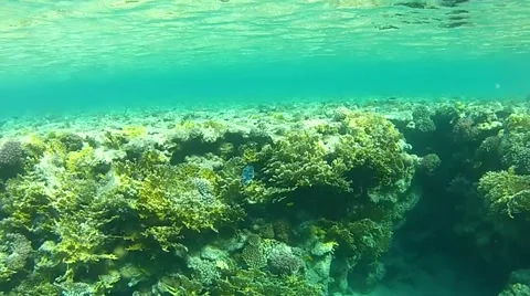 Fairy world.mp4 Stock Footage 57419025