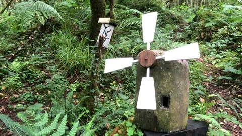 A fairy's house in the woods. Stock Footage 285337657
