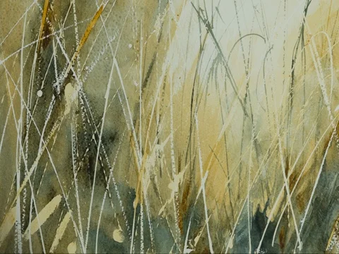 Fairytale Abstract Background Stock Footage 76756649