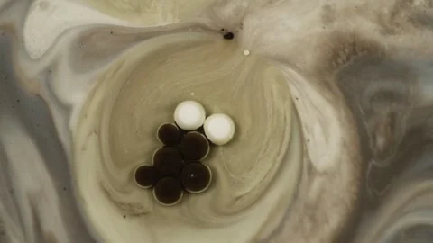 Fairytale bubbles of black and white colors. Oil experiments in slow motion. Stock Footage 281245381