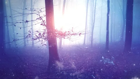 Fairytale forest with sunlight transition Video stock 231417182
