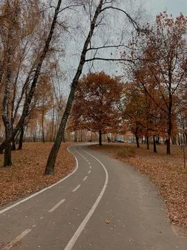A fairytale forest with trees, a beautiful view, and clean air in nature Stock Photos