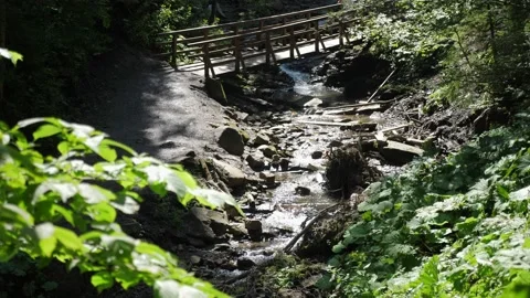 Fairytale mountain river flowing under bridge with people on it on a sunny day Stock Footage 164915560