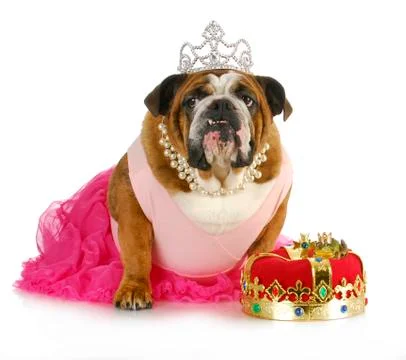 Fairytale princess Stock Photos