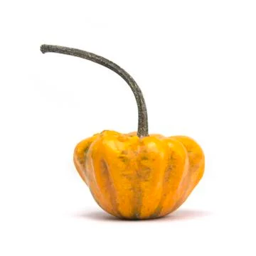 Fairytale pumpkin Stock Photos