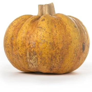 Fairytale pumpkin Stock-Fotos