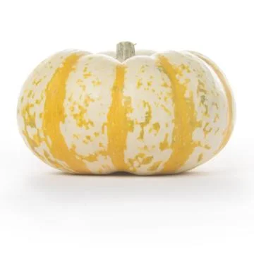 Fairytale Pumpkin Stock Photos