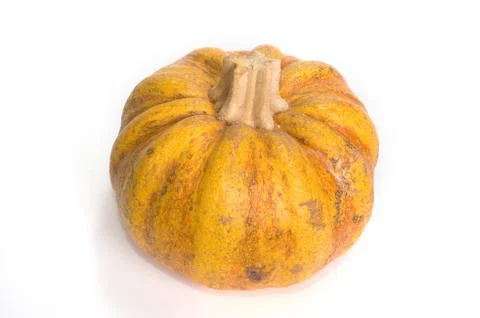 Fairytale pumpkins Stock-Fotos
