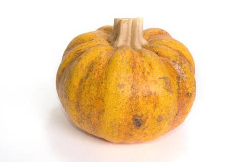 Fairytale Pumpkins Stock Photos