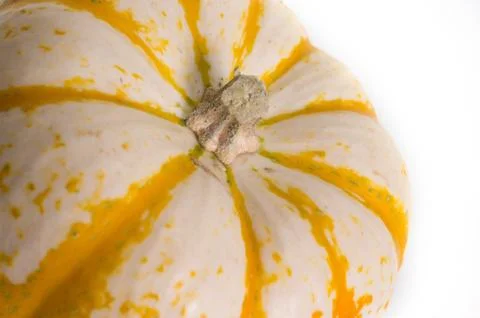 Fairytale Pumpkins Stock Photos