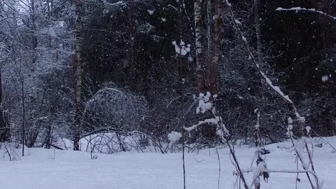 Fairytale snowfall 库存影片 73875521