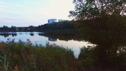 Fairytale style image of forest scene with lake and trees during vibrant sunset Stock Footage 128277516