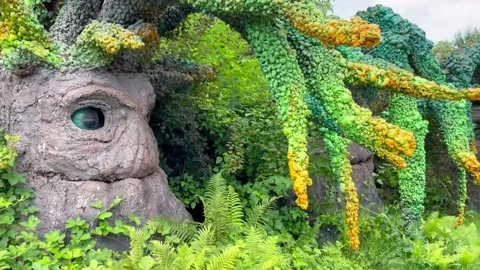 Fairytale trees Video stock 166036256