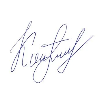 Fake autograph samples. Hand-drawn signature Stock Illustration