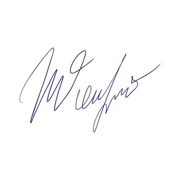Fake autograph samples. Hand-drawn signatures Stock Illustration
