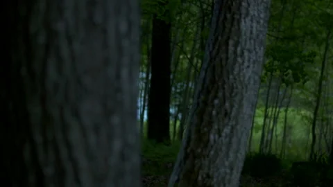 Fake Bigfoot Vidéo 163998403