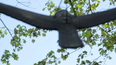 Fake birds hanging from a tree Stock Footage 76413154