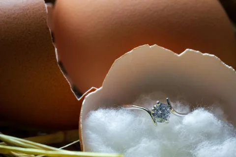 Fake diamond ring in the egg shell broken on the ovary with morning light. Stock Photos