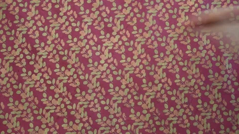 Fake emu Stock Footage 72961036