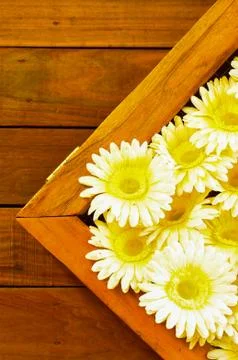 Fake flower frame. Stock Photos