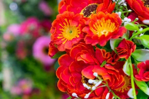Fake flower Stock Photos
