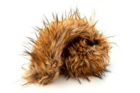 Fake fur Stock Photos