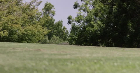 Fake gorilla walking on grass 스톡 동영상 67555574