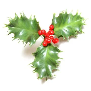 Fake Holly Stock Photos