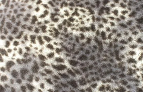 Fake leopard fur pattern Stock Photos