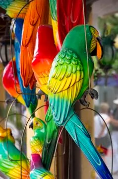 Fake Parakeets Stock Photos