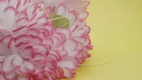 Fake pink flowers Stock Footage 130587768