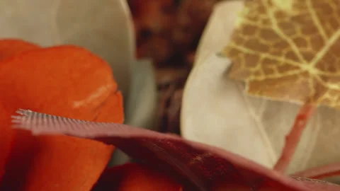 Fake plastic autumn fall flowers pumpkin macro close up presentation slowly.. Stock Footage 344688548